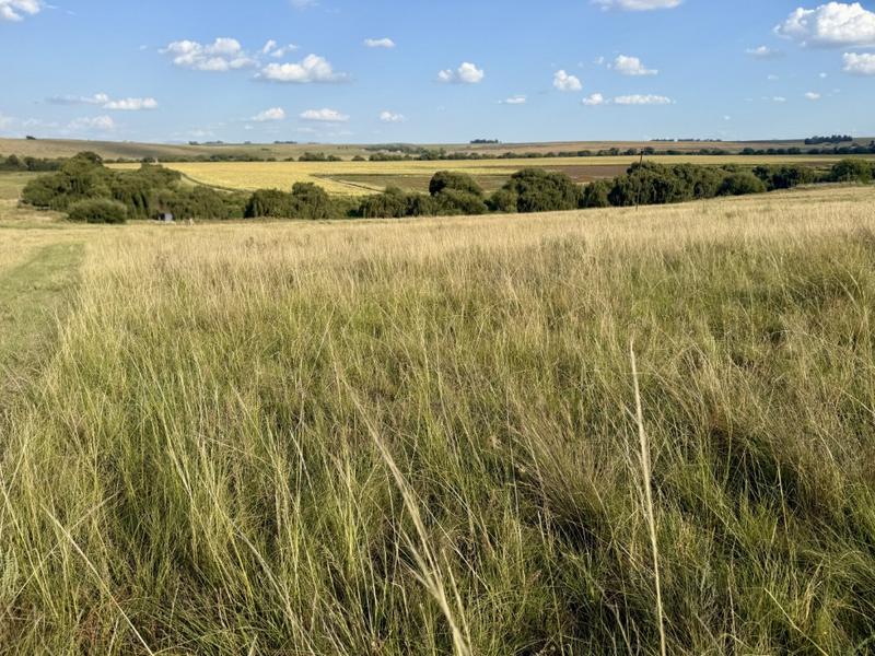 0 Bedroom Property for Sale in Harrismith Free State